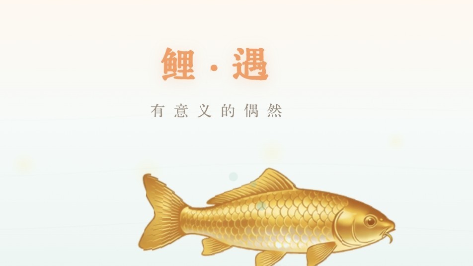 鲤遇
